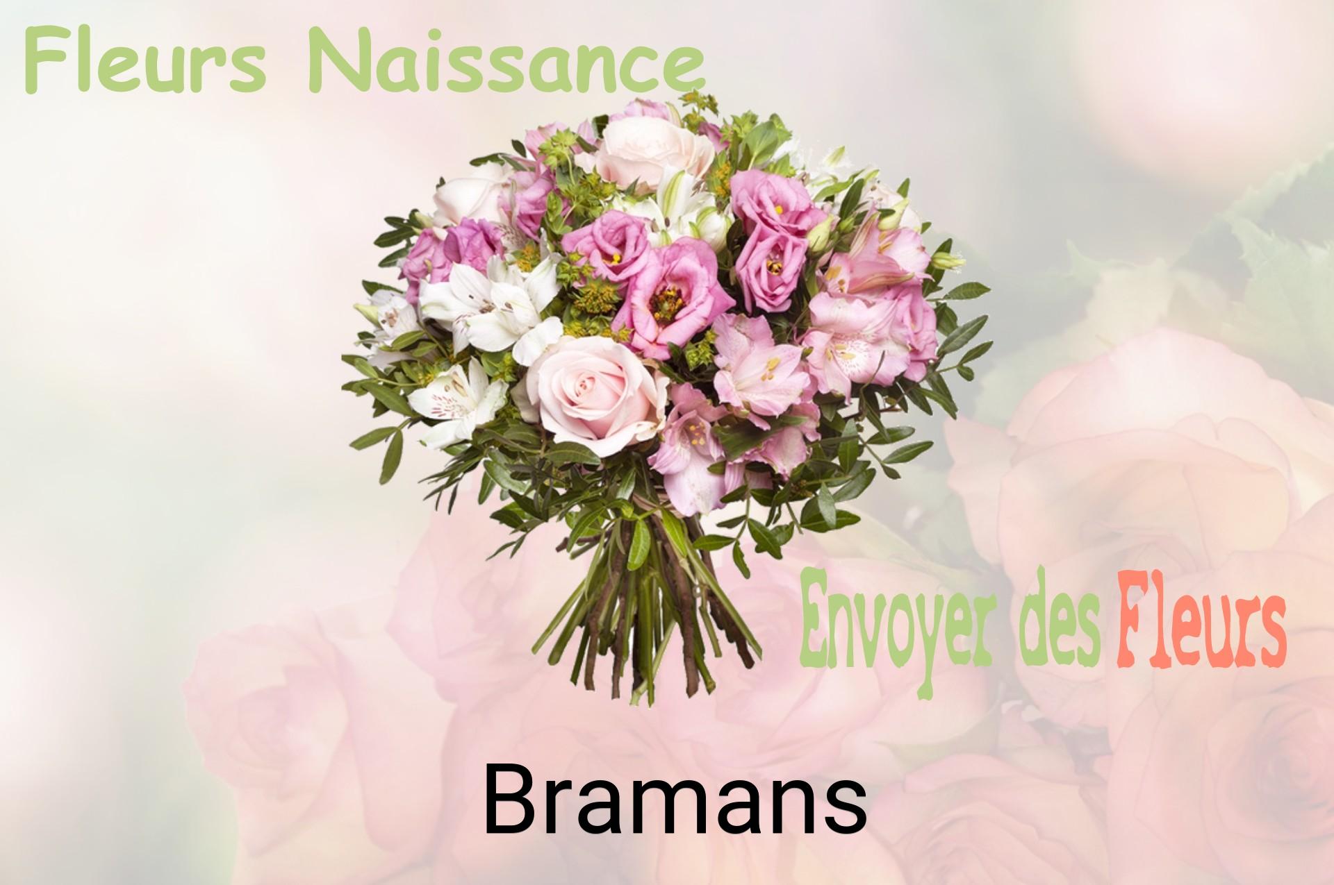 Bouquet de fleurs de naissance livré à Bramans